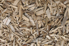 biomass boilers Bidlake